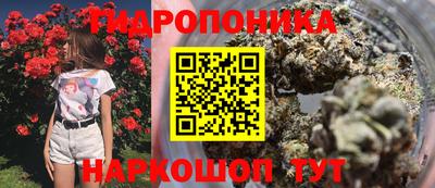 гашишное масло Гатчина