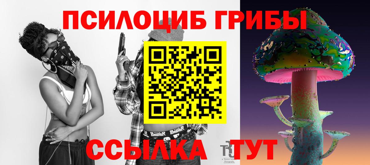 Галлюциногенные грибы MAGIC MUSHROOMS  Вход с VPN  Мурино 